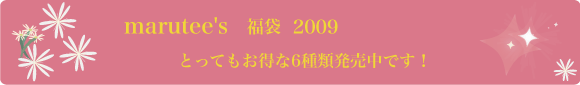 2009܃oi[
